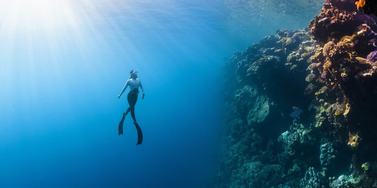 Nefesini Tut, Kendini Bırak: Serbest Dalış Bir Meditasyon Mudur?
