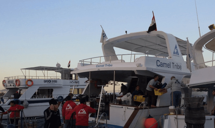 Sharm El Sheikh Dalış Turu - 1