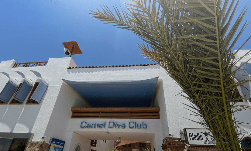 Sharm El Sheikh Dalış Turu - 3